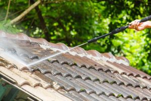 Roof Cleaning